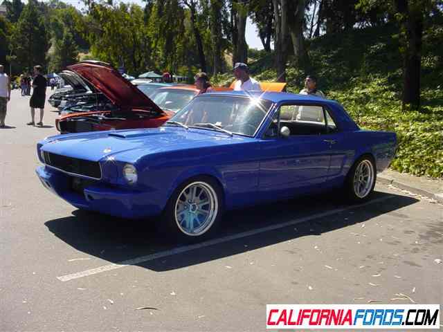 Ford forums show n shine #9